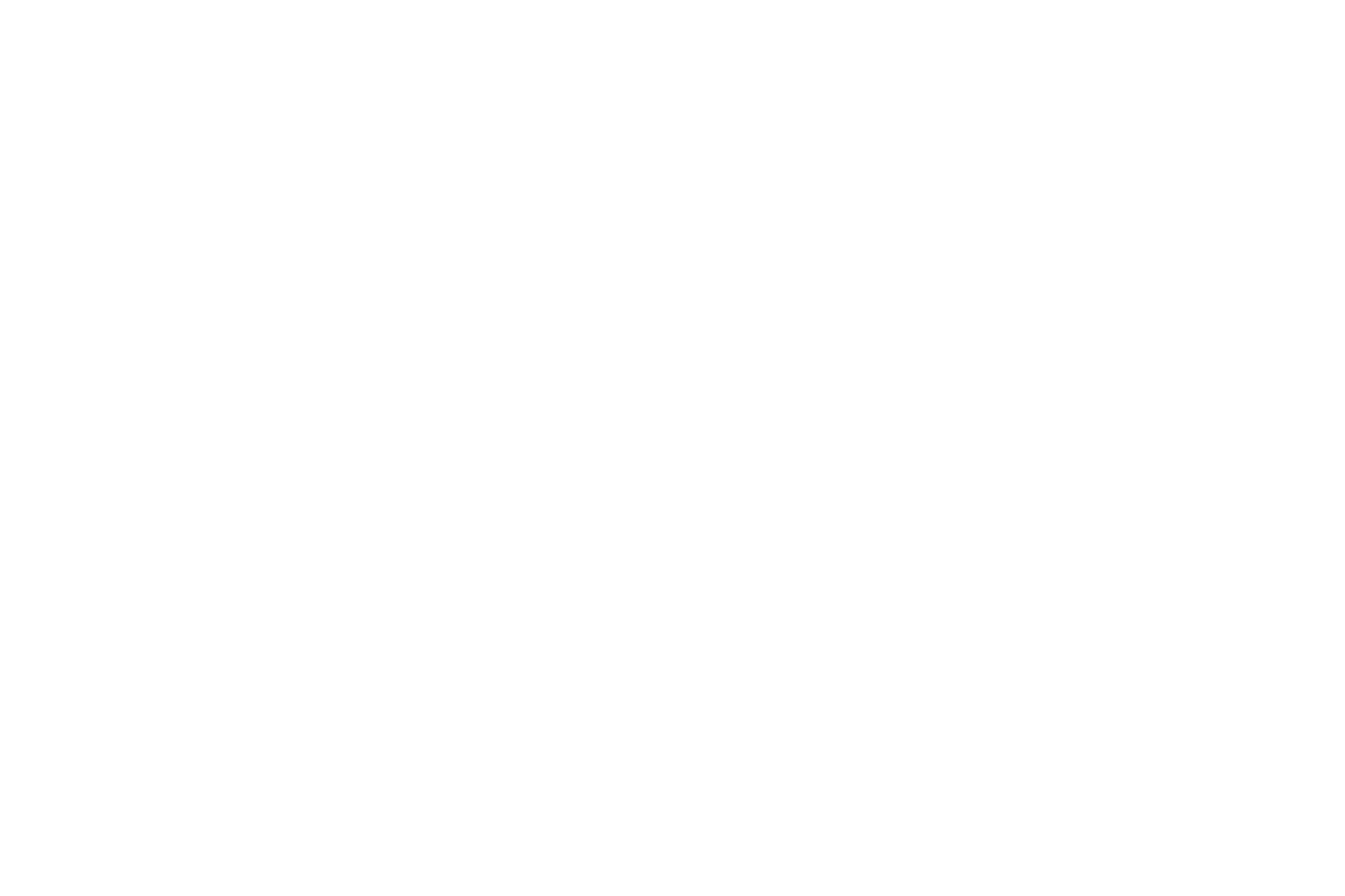 logo-afys
